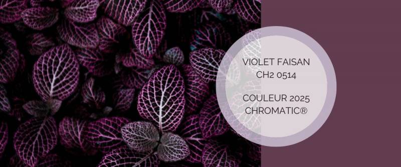 Violet Faisan de Chromatic, couleur de l'année 2025